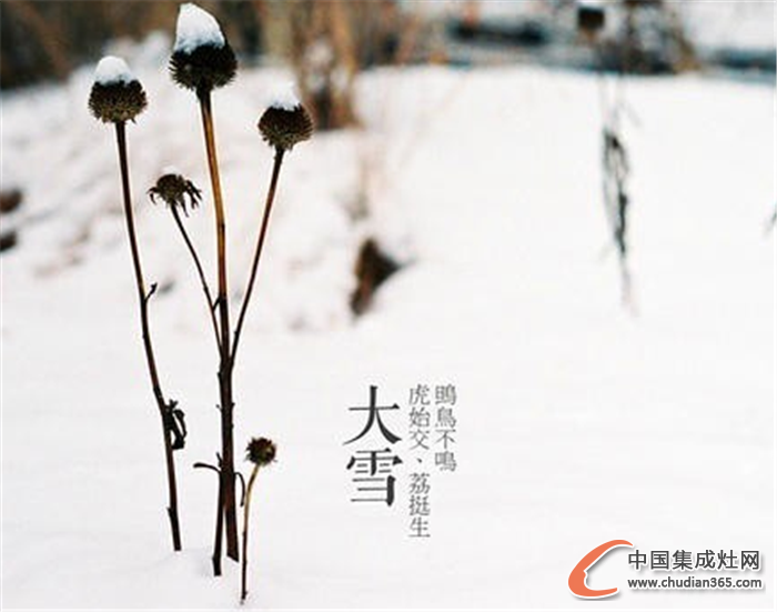 今日“大雪”，邦的集成灶暖人心