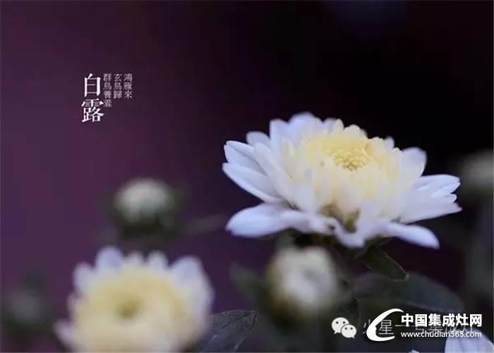 白露至秋意濃，火星一號(hào)教你怎么應(yīng)對秋寒