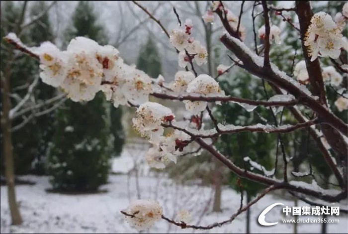 倒春寒來了，火星一號教你如何應(yīng)對！