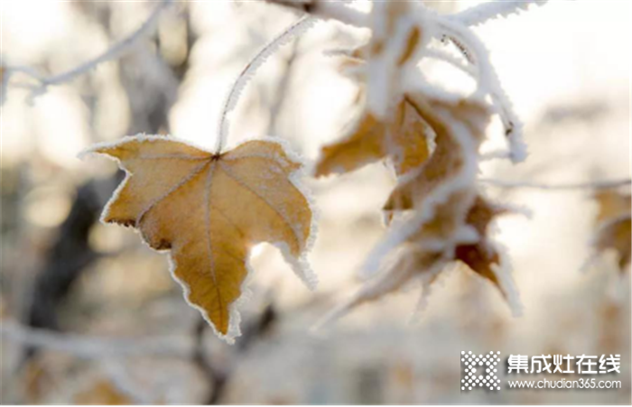 浙派集成灶給你帶來冬日溫情，讓人生充滿溫情！