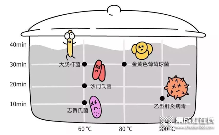 細(xì)菌無處隱藏，邦的給全家安心守護(hù)