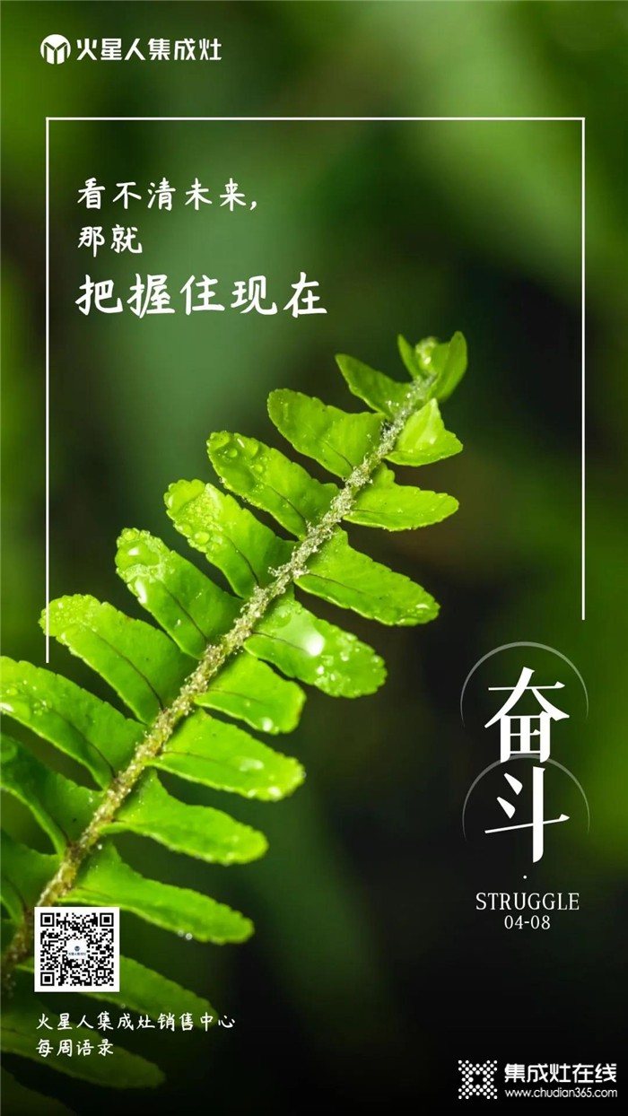 火星人集成灶每周語(yǔ)錄！