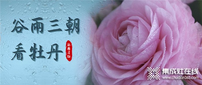 莫尼集成灶：今日谷雨，萬物生長宜播種，宜吃春！