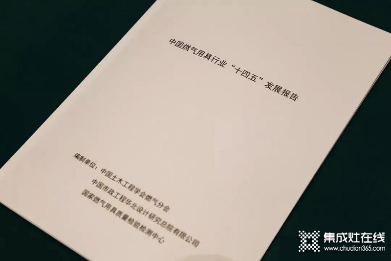 《中國(guó)燃?xì)饩咝袠I(yè)“十四五”發(fā)展報(bào)告》重磅首發(fā)，從多方面指出行業(yè)發(fā)展建議意見(jiàn)！_2