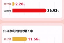 帥豐電器2021年報(bào)：營(yíng)收、凈利潤(rùn)實(shí)現(xiàn)雙位數(shù)增長(zhǎng) (1091播放)