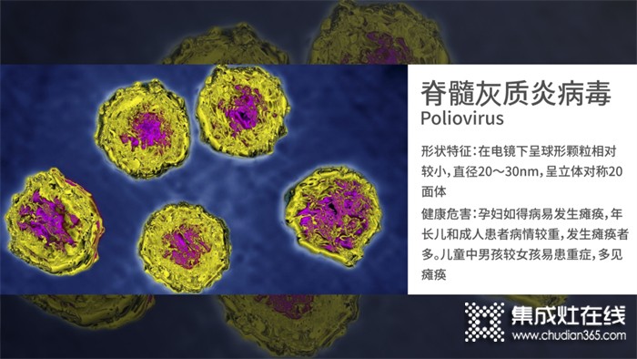 四星級除菌是什么概念？為什么要用四星級除菌洗碗機？森歌為你解答！