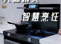 佳歌智能新品A7ZK集成灶——智享烹飪，讓生活更美味！ (1005播放)