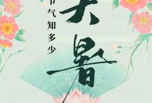 藍(lán)炬星丨二十四節(jié)氣  人間大暑至，祛濕需謹(jǐn)記